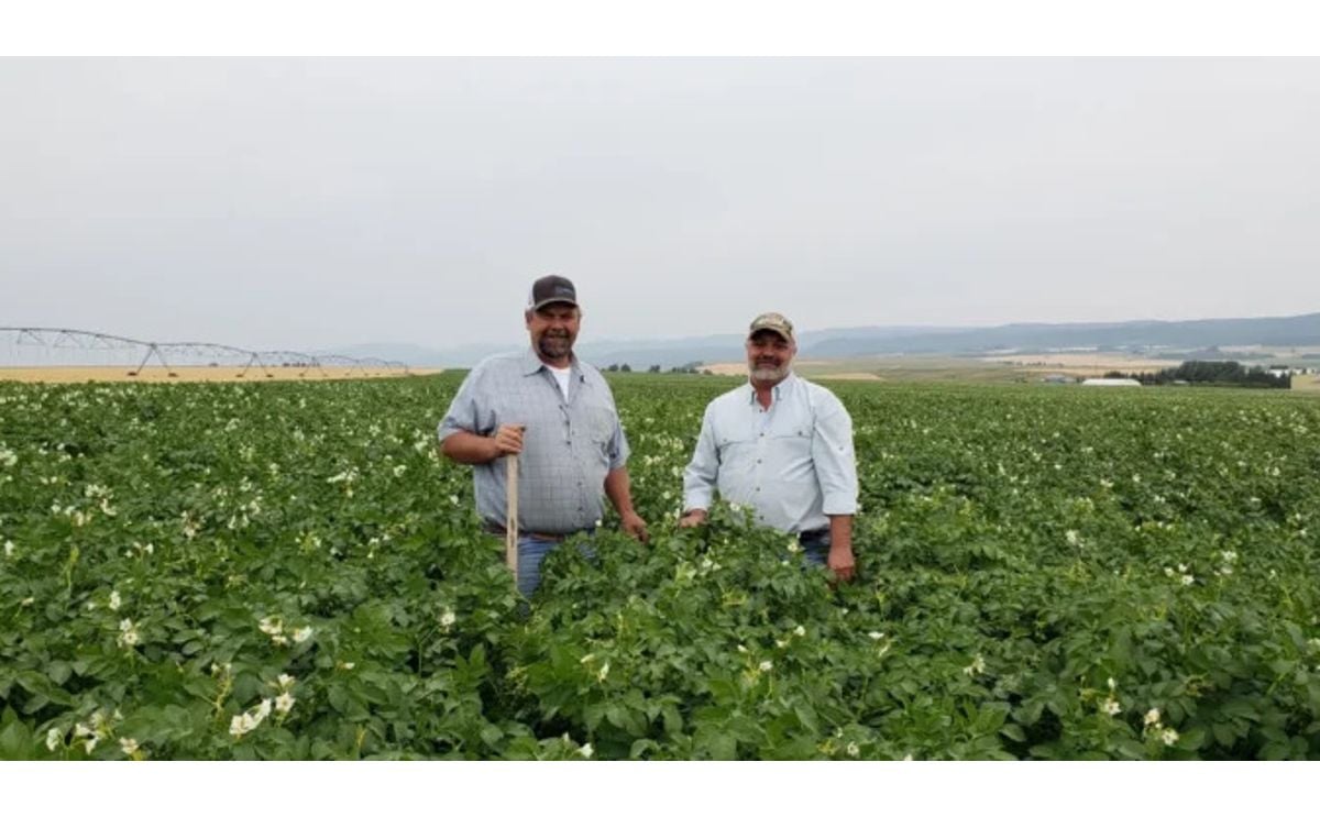 German Seed Source LLC