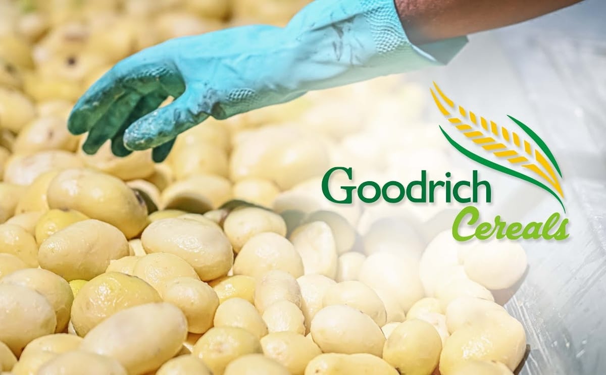 Potato processing is entering a new era