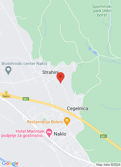 Map showing Naklo, Slovenia