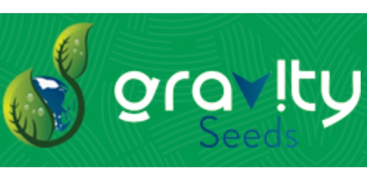 Gravity seed logo