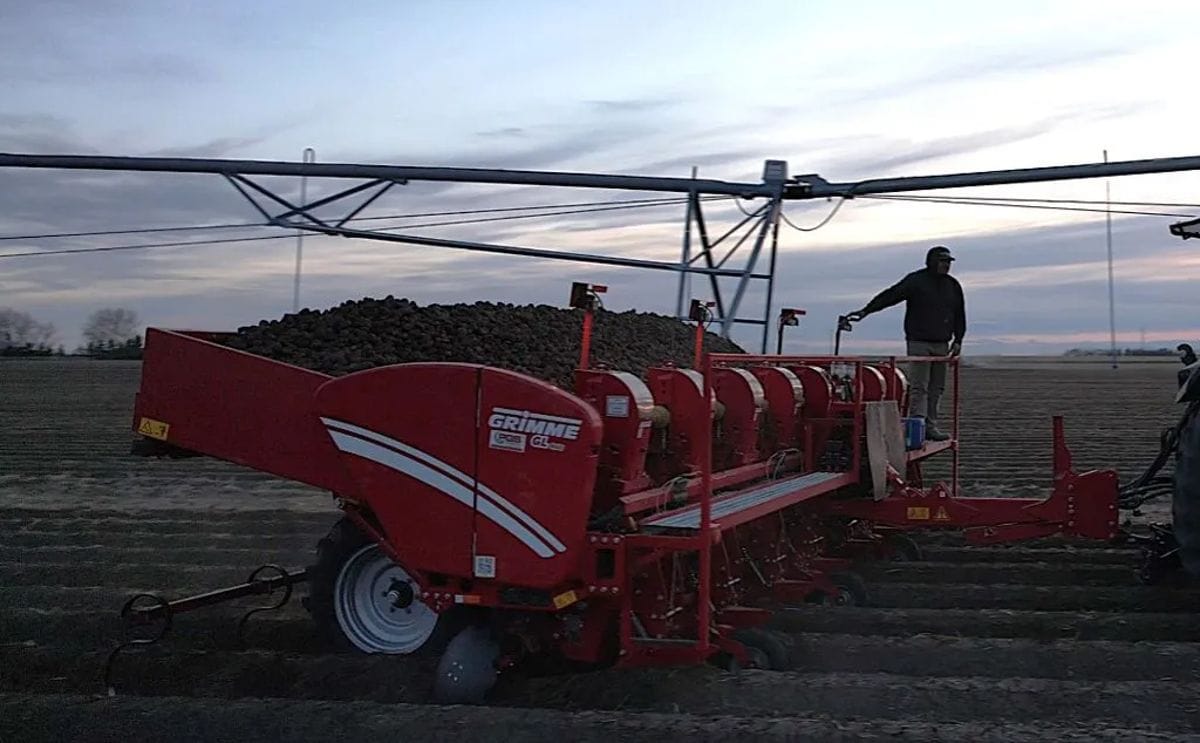 PGS Equipment - Grimme GL 860