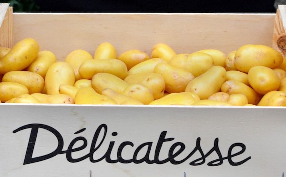The delicatesse potato has acquired national fame in no time
