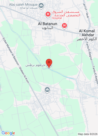 Map showing Elsadat, Egypt