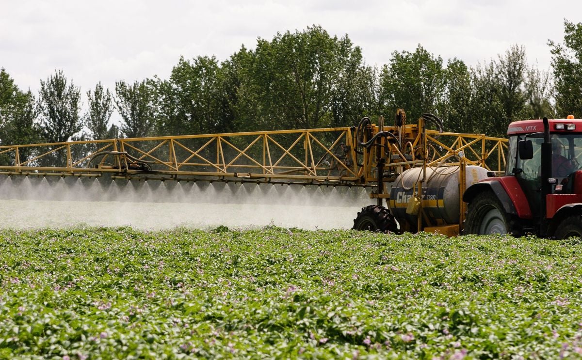Gb potatoes joins hcp