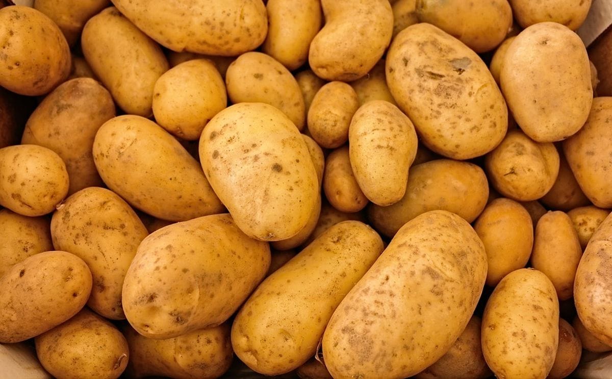 Asaja castilla leon agrodigital