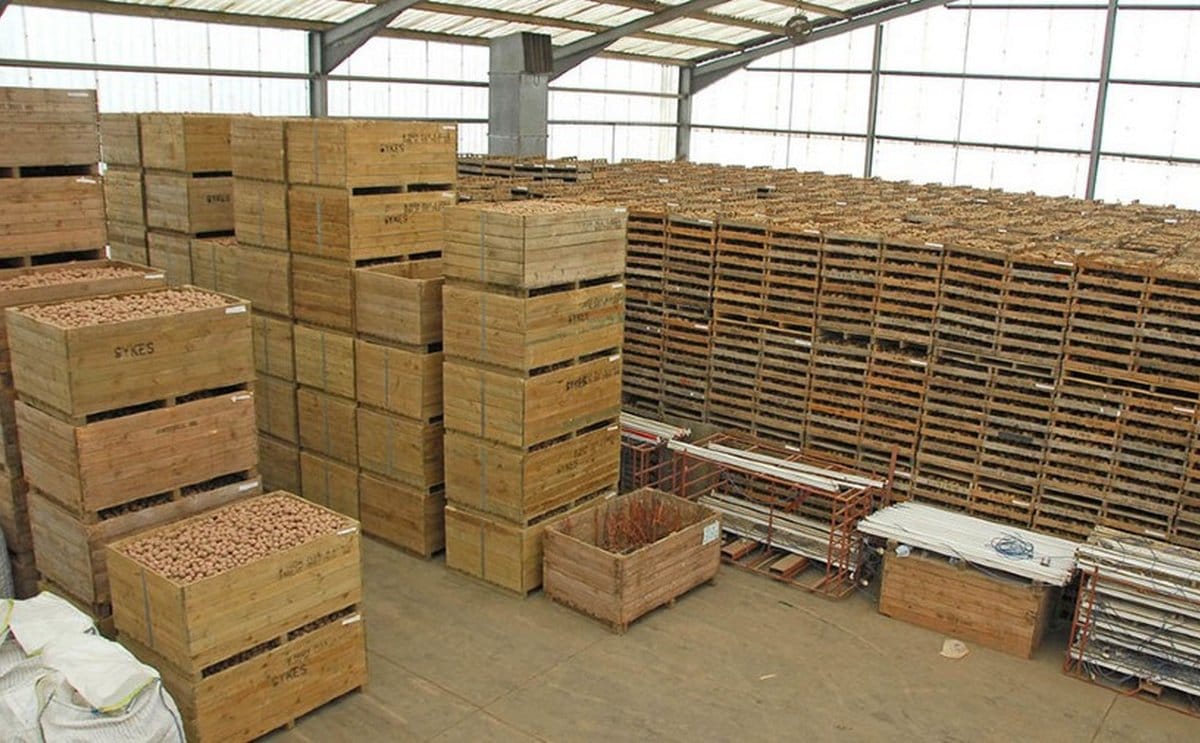 Potato storage boxes