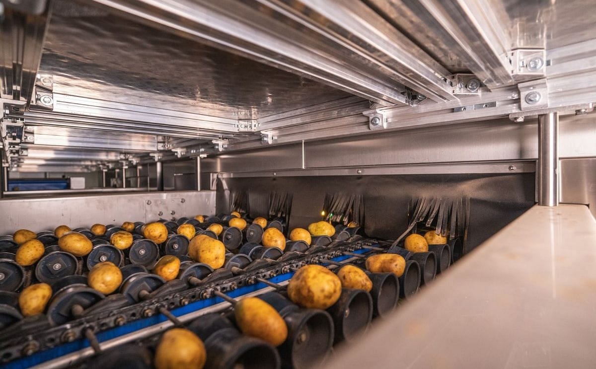Potatosorting and grading