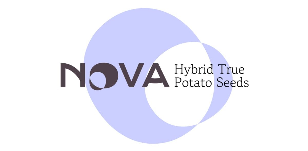 Nova logo
