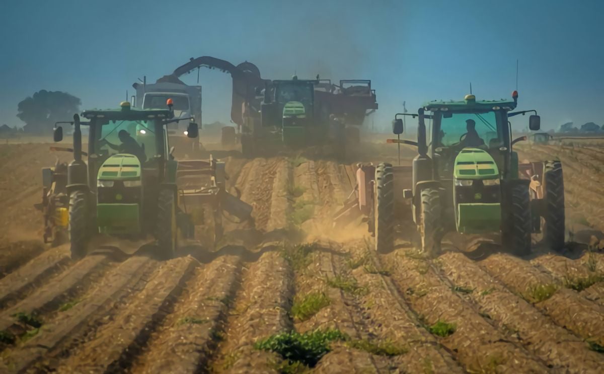 Later start on smaller crop of idaho potatoes this summer