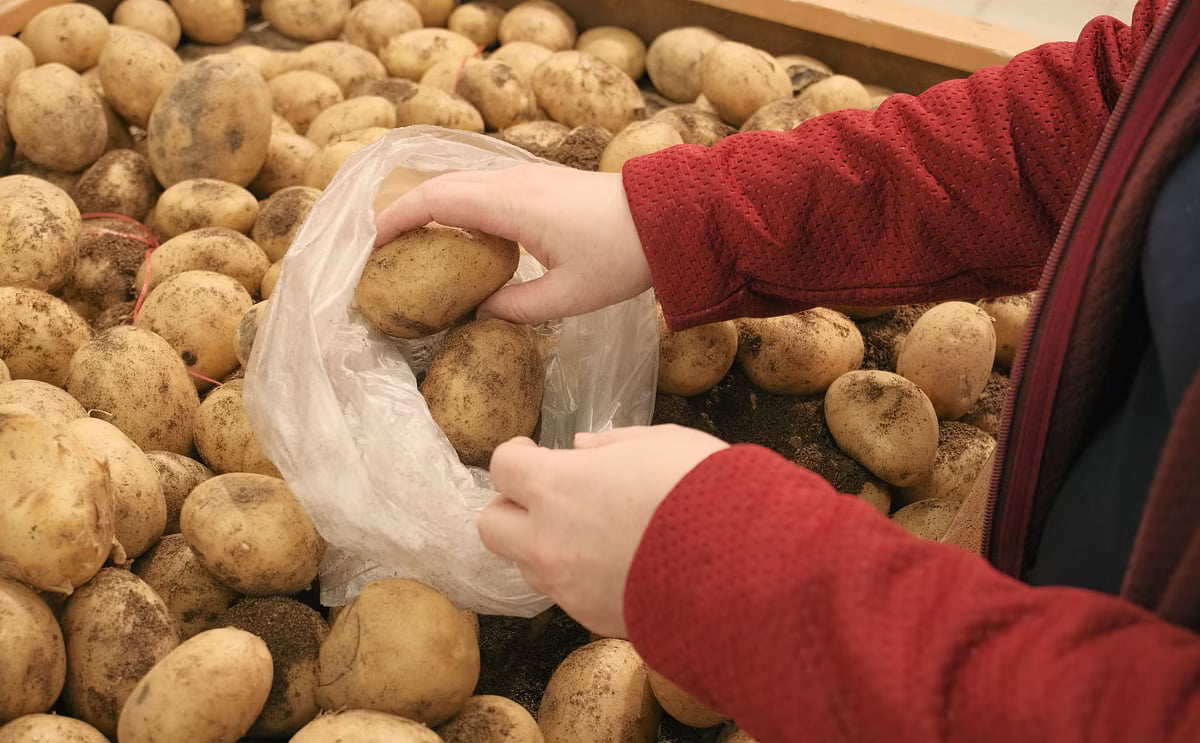 Potatoes retail