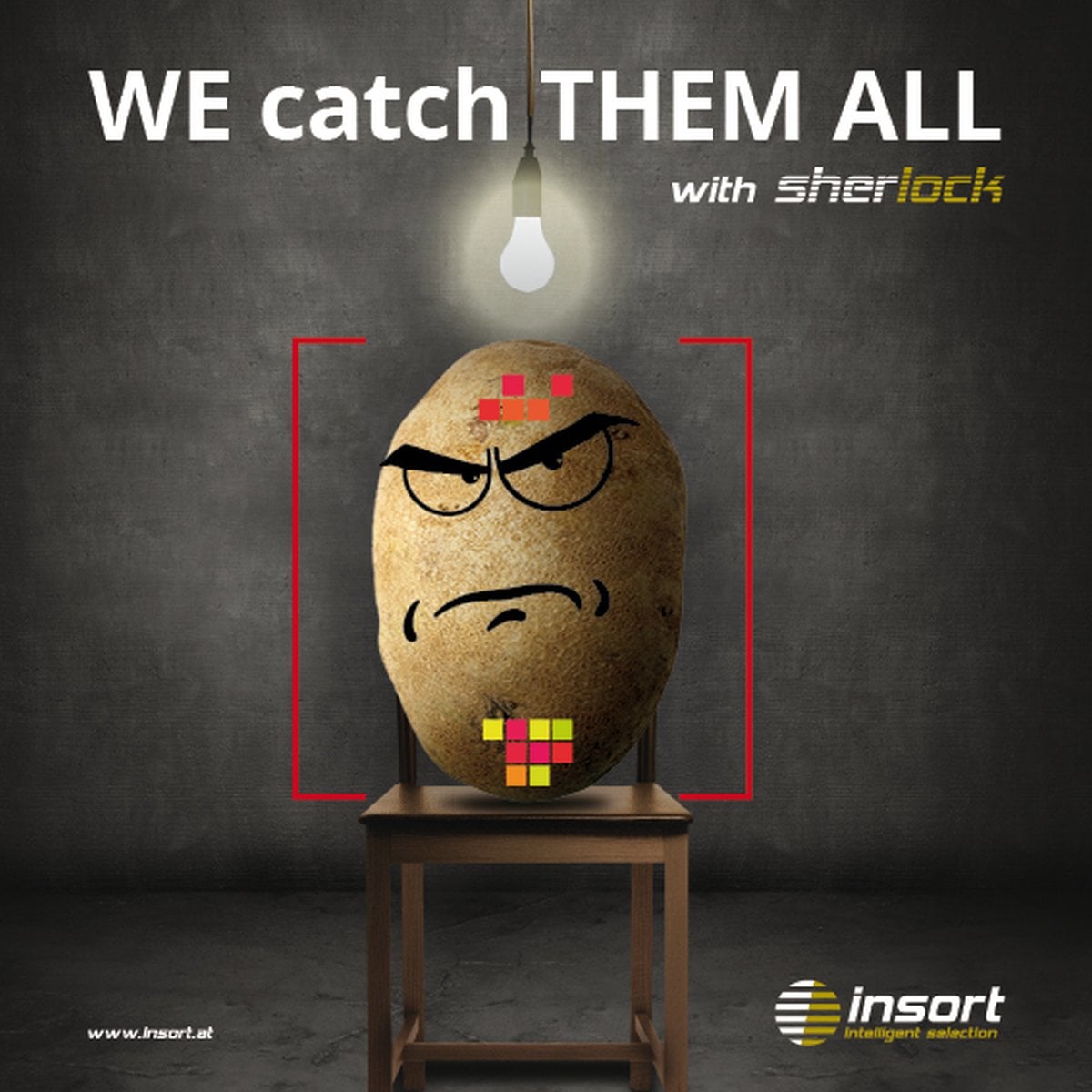 Insort GmbH