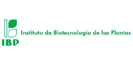 Institute of Plant Biotechnology (IBP) logo