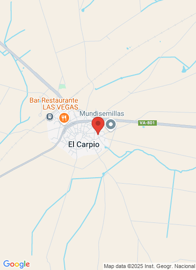 Map showing Carpio, Spain