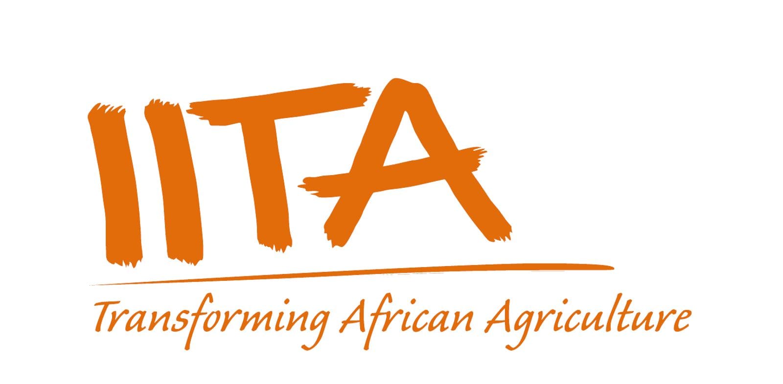 International Institute of Tropical Agriculture (IITA) logo