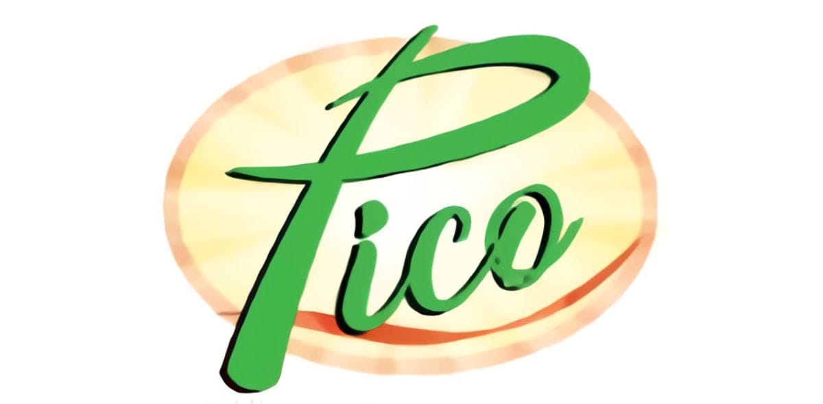 Pico logo