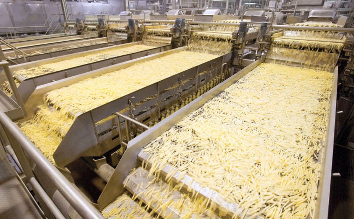 Lambweston french fries processing facility
