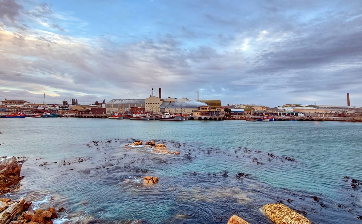 Lamberts bay foods