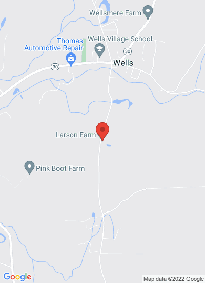 Map showing Wells, United States