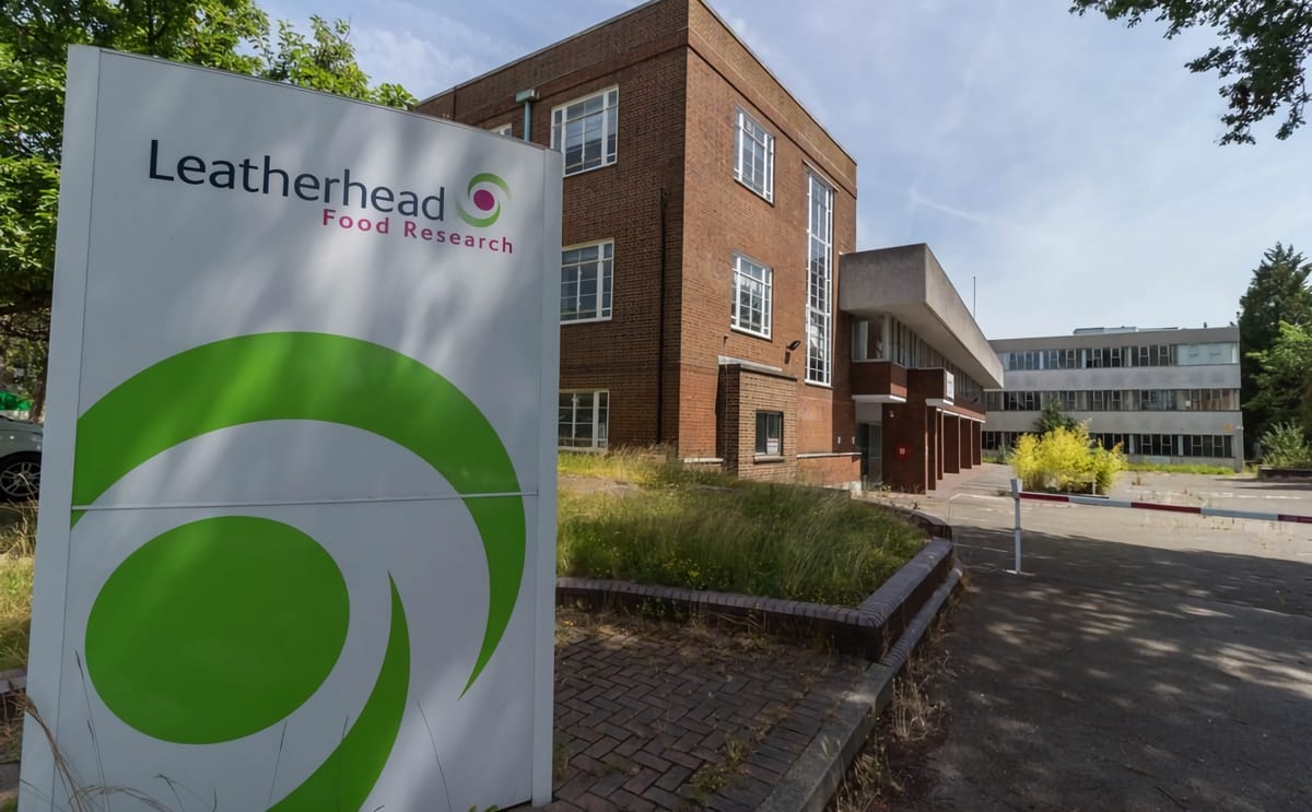 Leatherhead buiding
