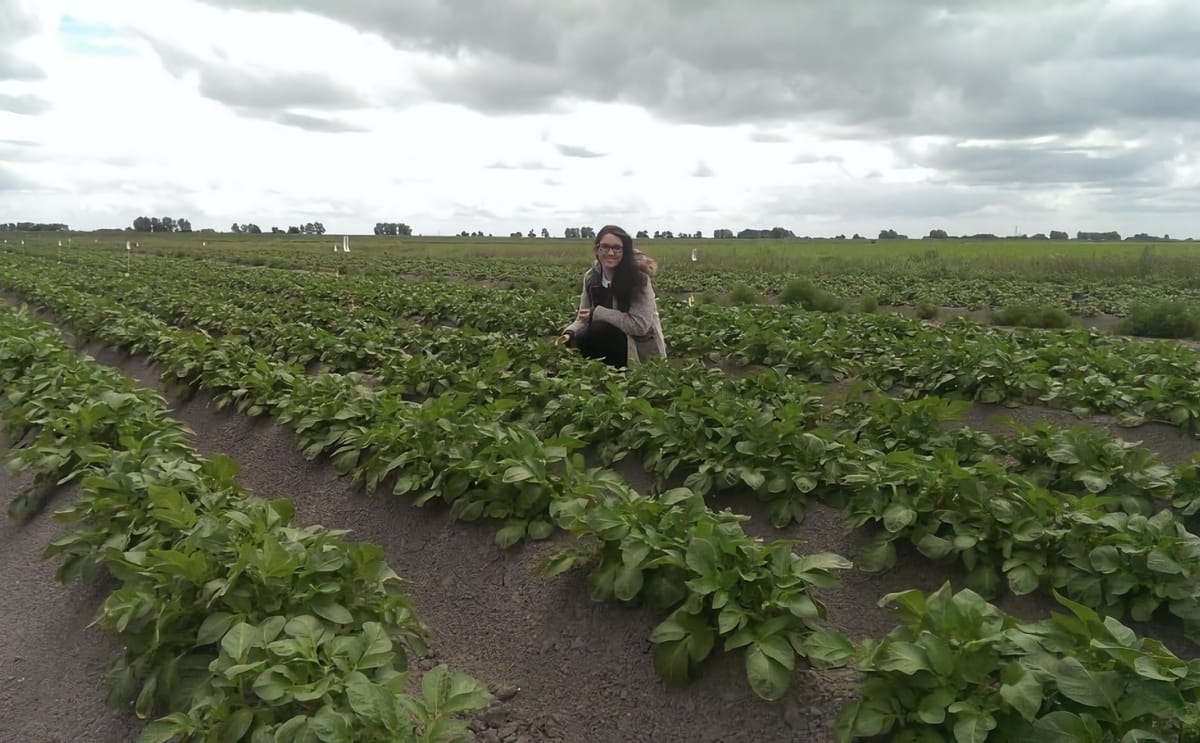 Levity cropscience potato field