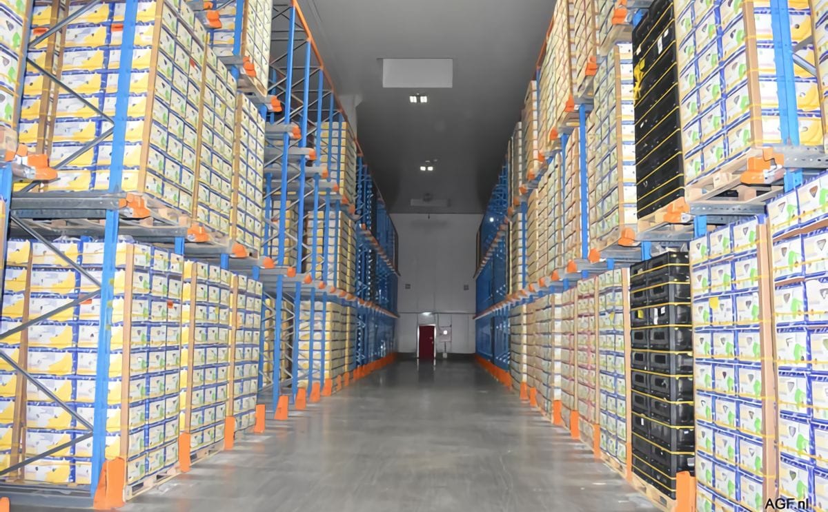 New frozen storage offers 22000 extra pallet places for frozen fresh produce