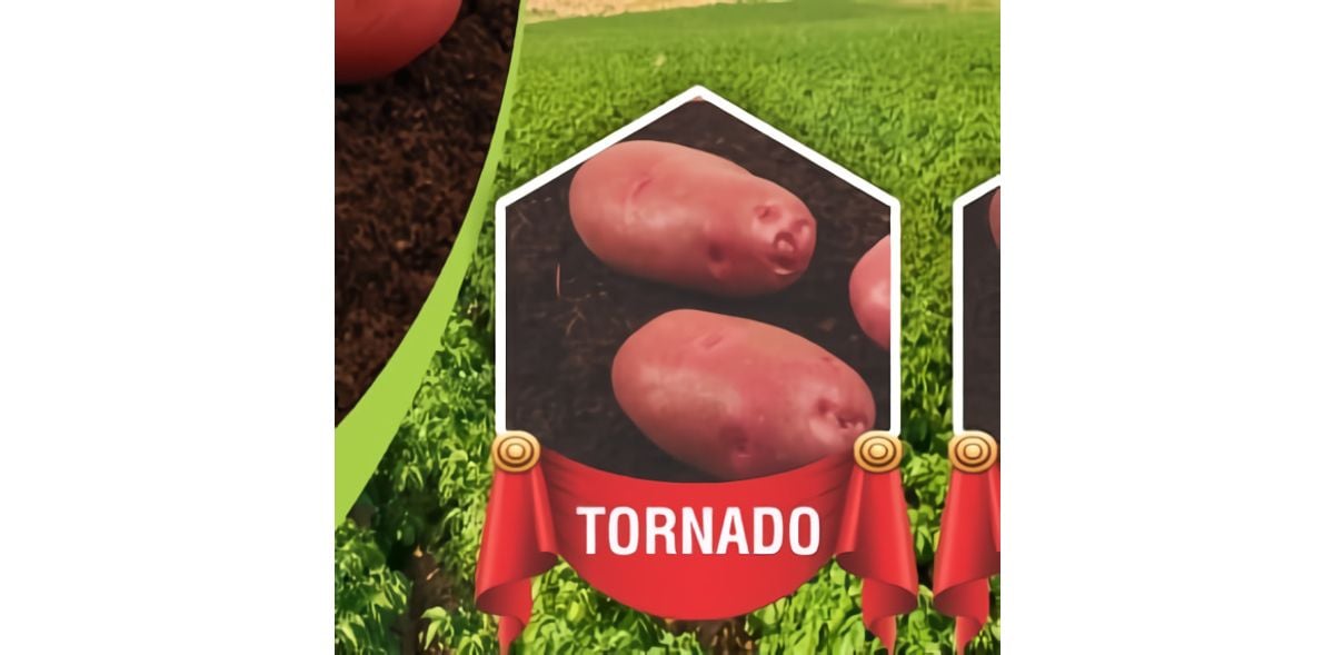 Lush Green Agro Services logo