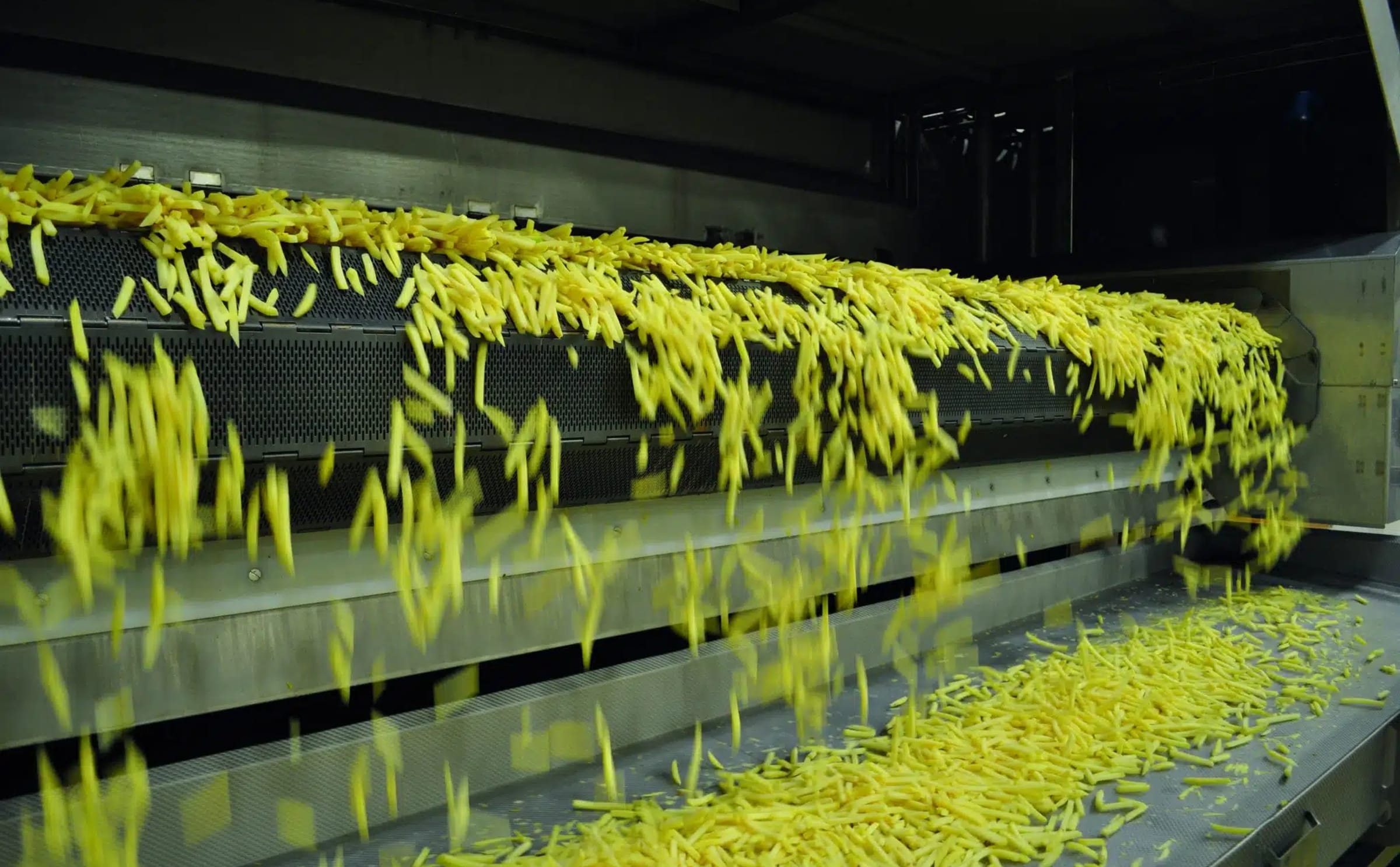 Lutosa the belgian producer of frozen potato products