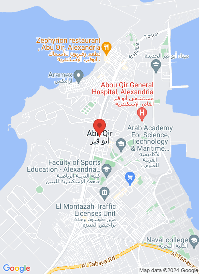 Map showing Egypt