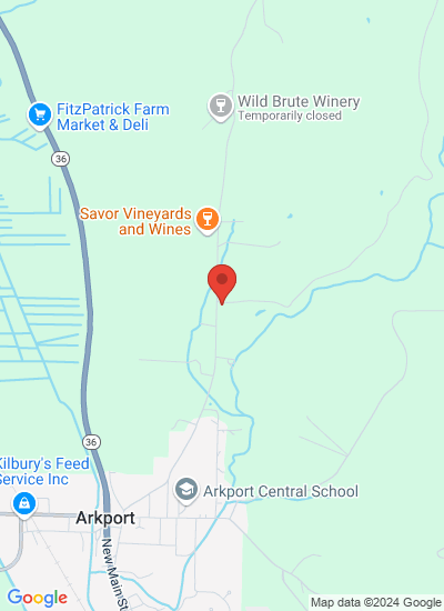 Map showing Arkport, United States