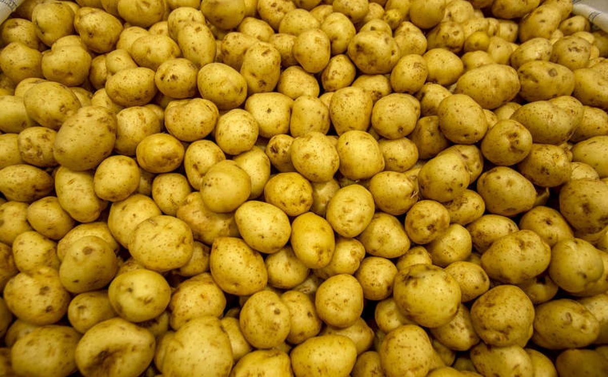 Potatoes