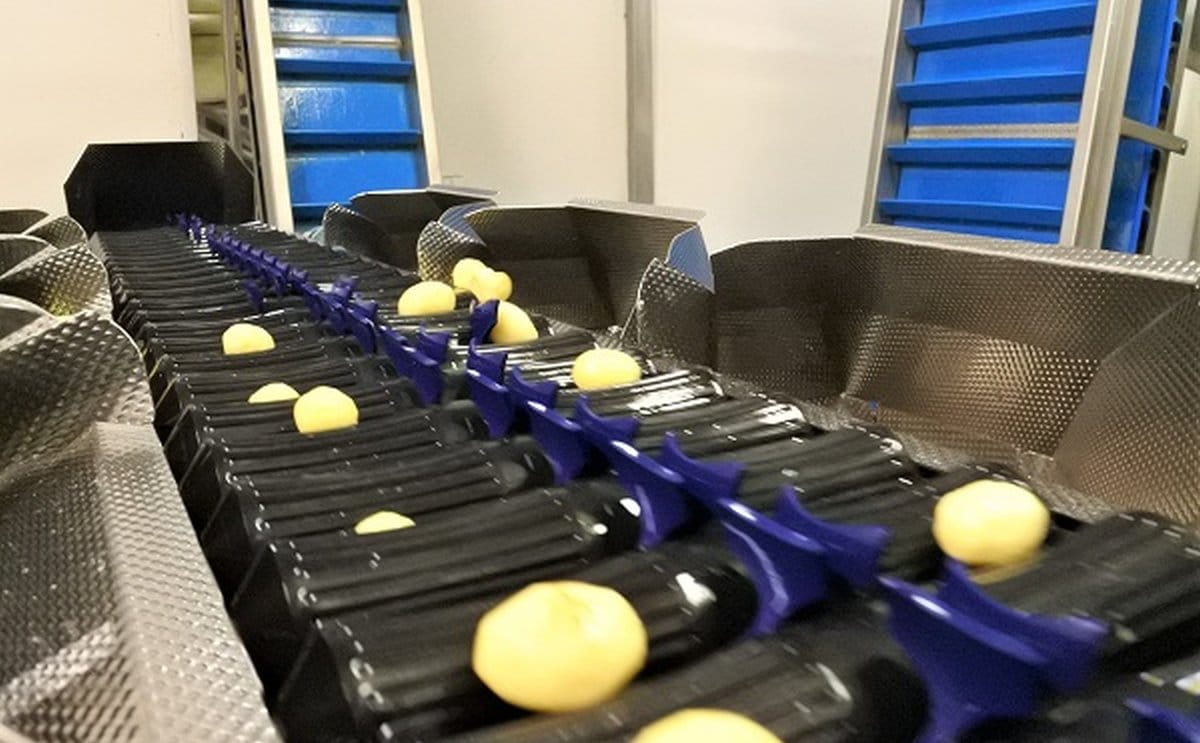 Opciones para la clasificación de patatas