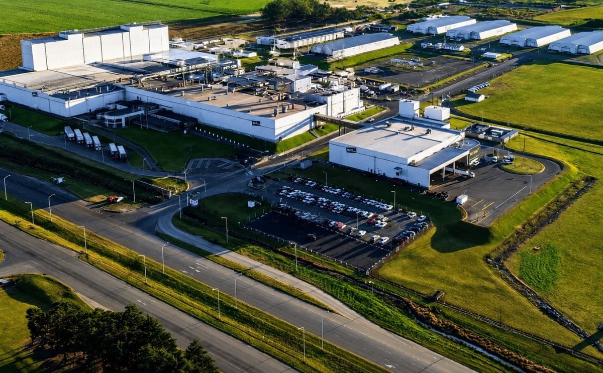Mccain argentina potato growing operations