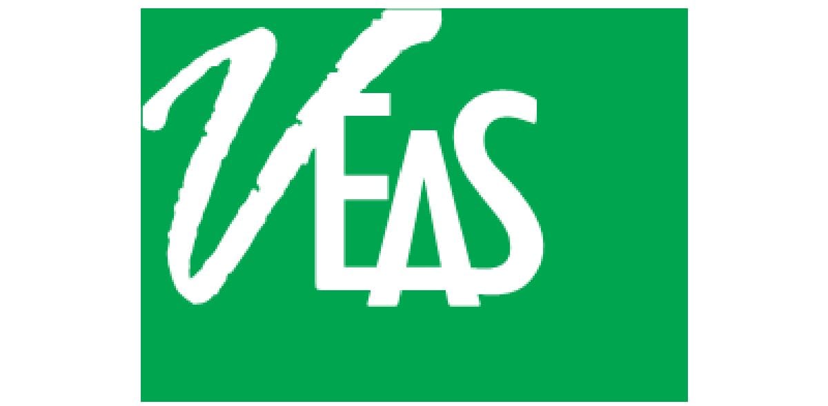 Minh Vi Exhibition & Advertisement Services Co., Ltd. (VEAS) logo