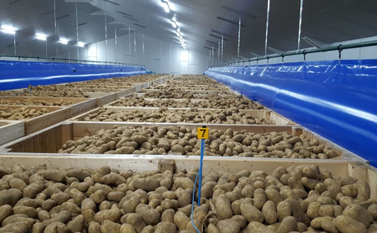 Mooij agro smart cooling manager