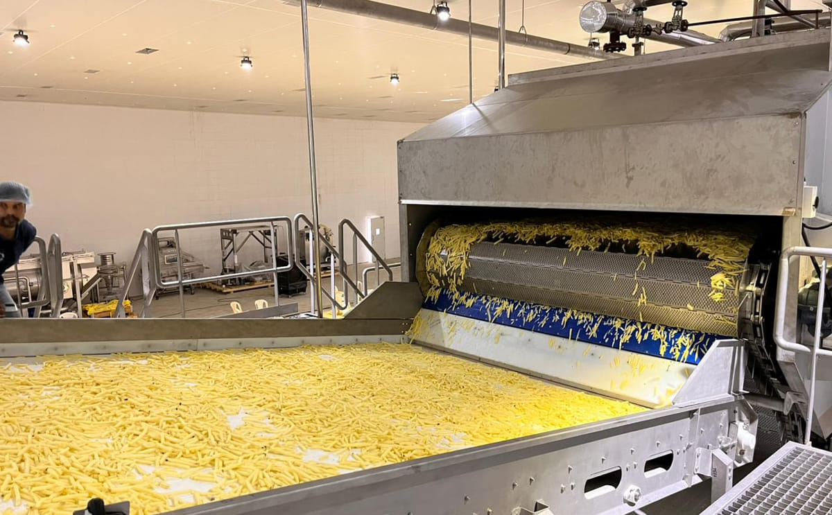 Natural Storage Solutions Pvt. Ltd (NSSPL) - Small Scale French Fry Lines