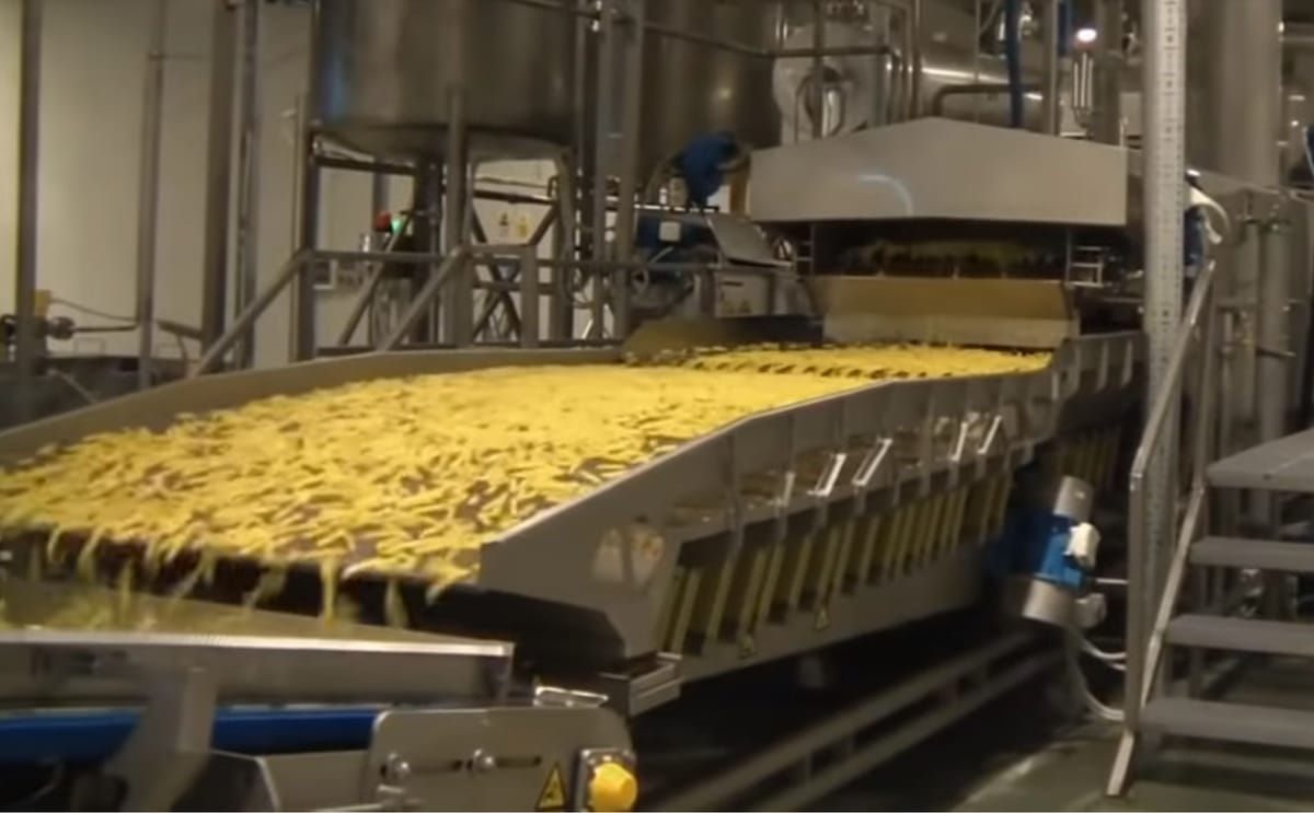 French fry line outfeed fryer