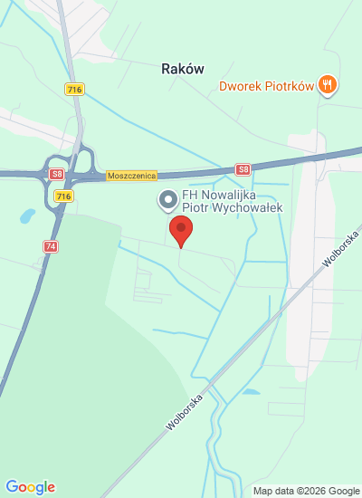 Map showing Piotrków Trybunalsk, Poland
