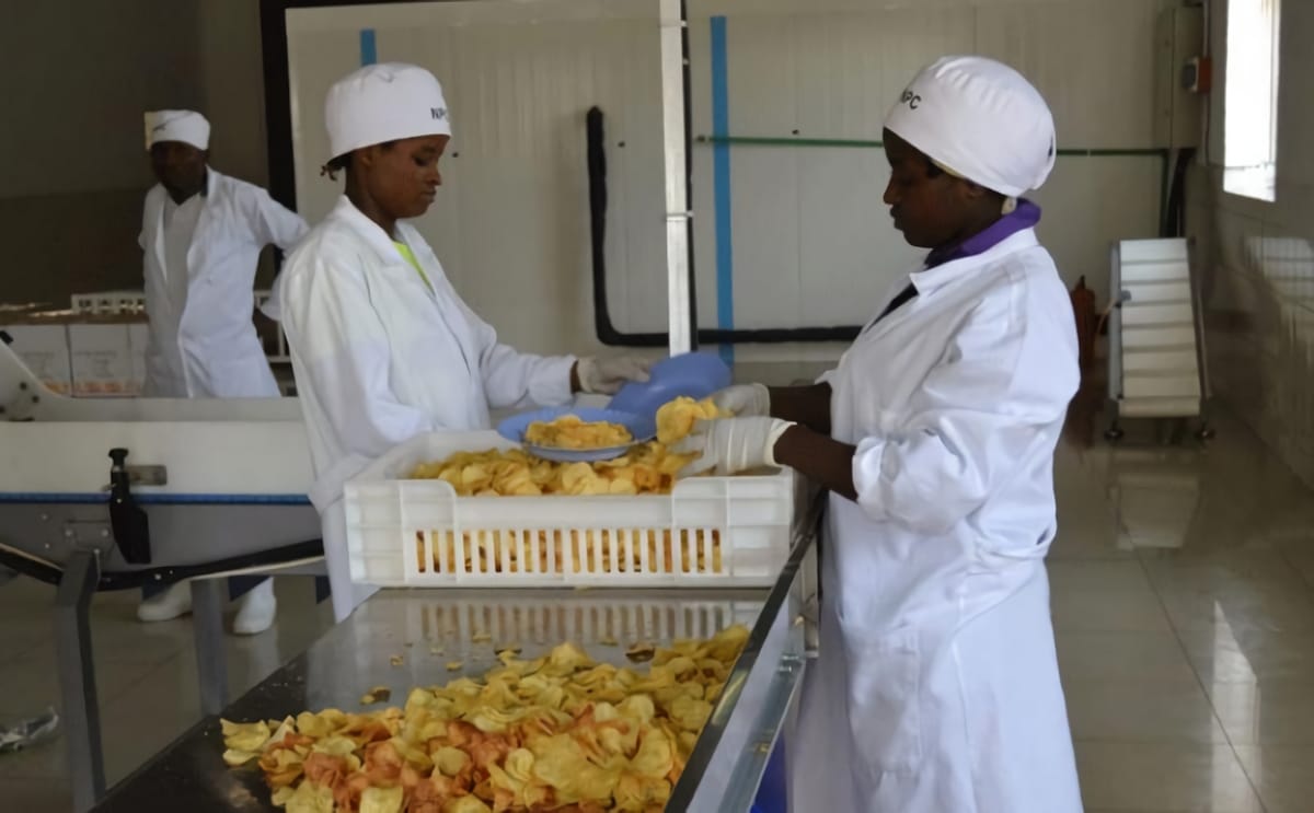 Nyabihu potato chip factory