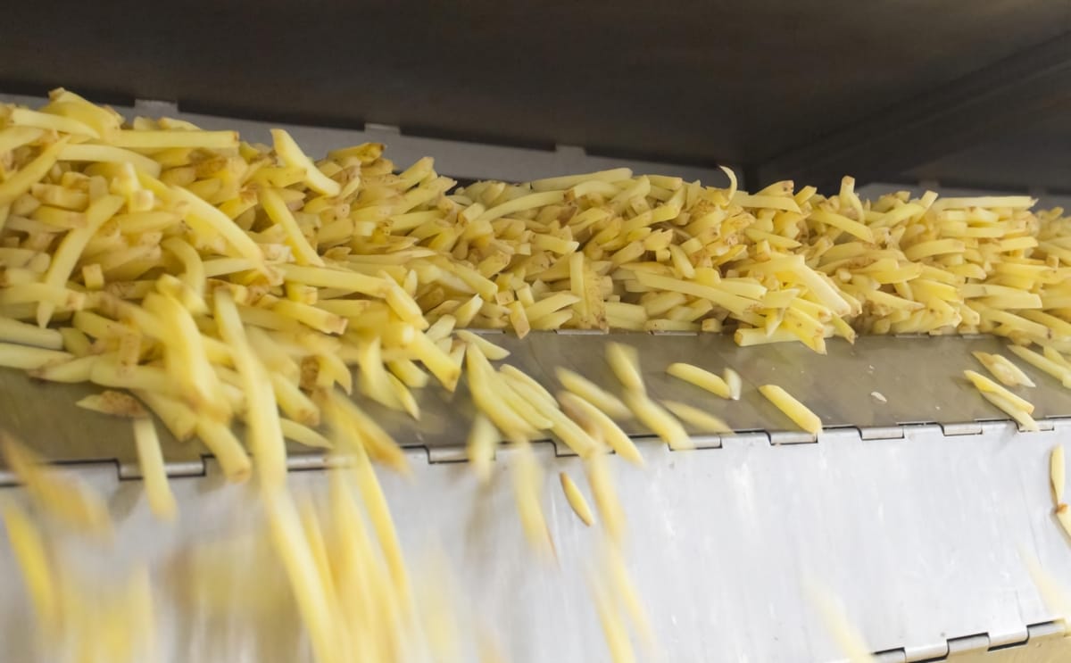 Lamb weston production french fries 1