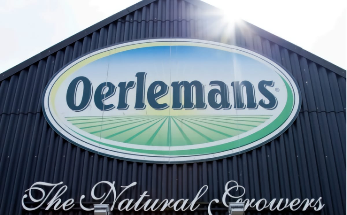 Oerlemans foods