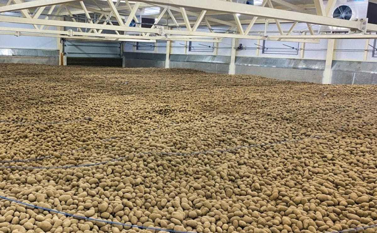 APH Group - Omnivent bulk storage systems