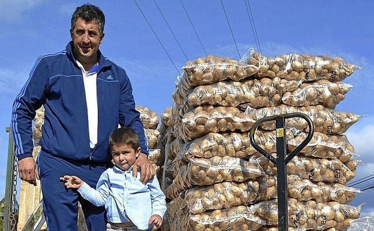 Cosecha de patatas en valdegovia