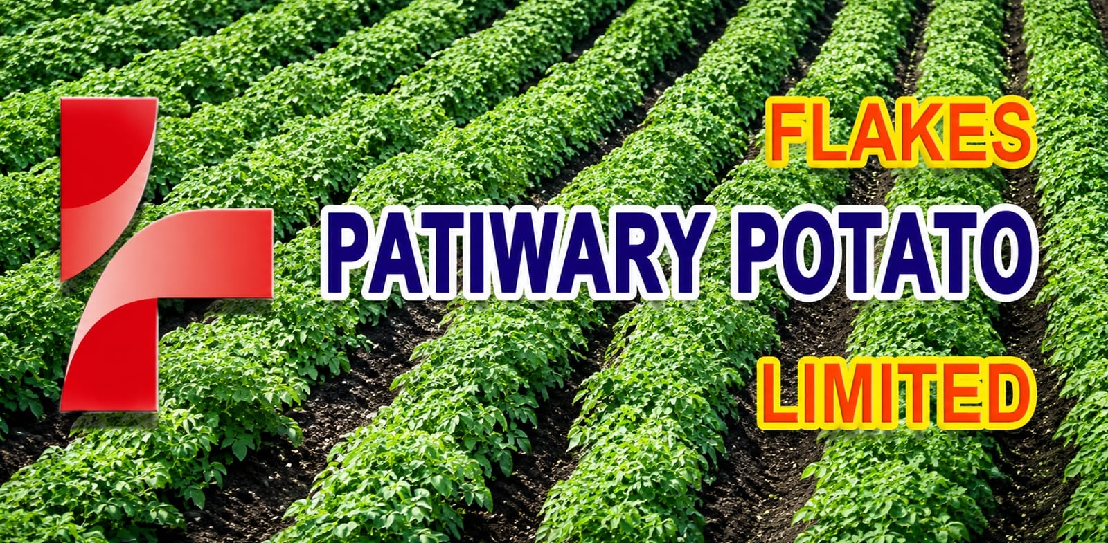 Patwary Potato Flakes logo