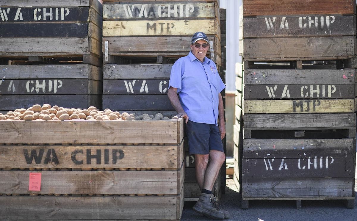 Wa chip steve bendotti