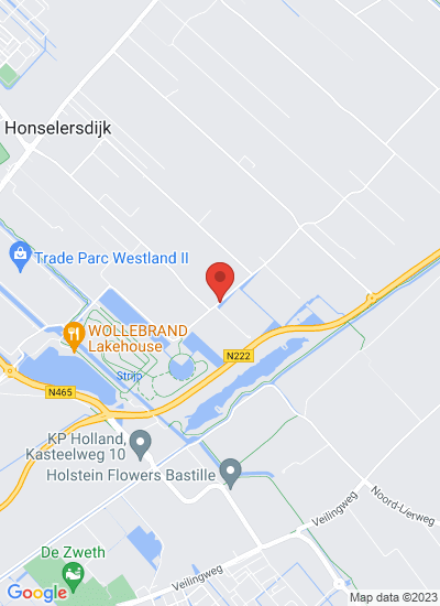 Map showing Honselersdijk, Netherlands
