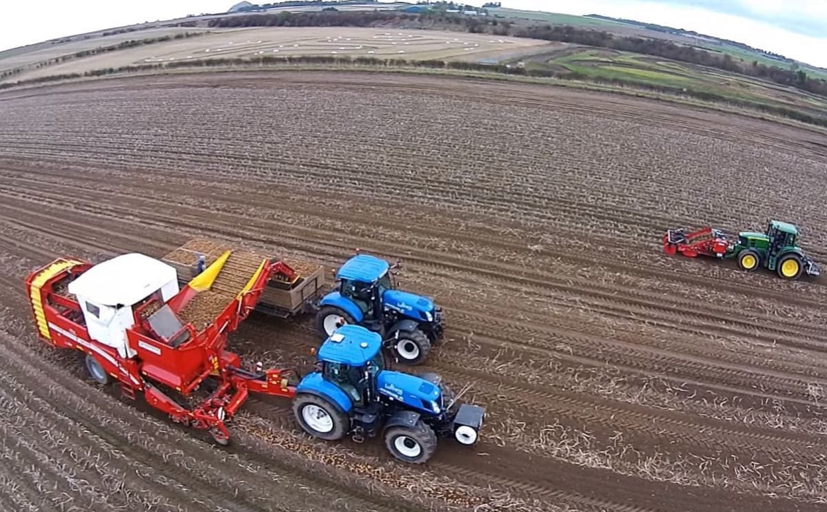 United kingdom potato harvesting