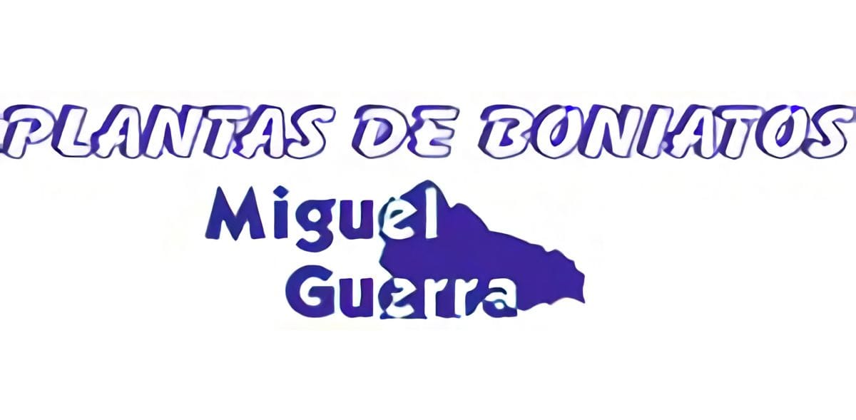 Plantas de Boniato Miguel Guerra S.L. logo