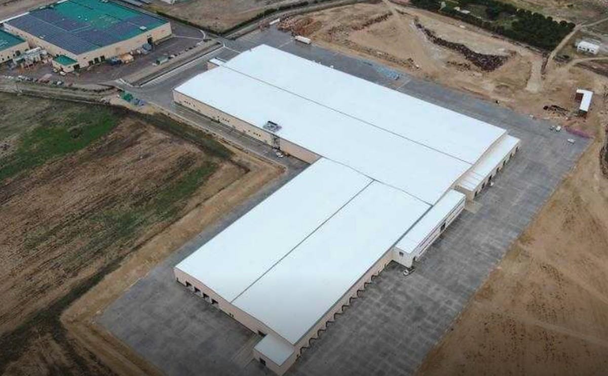 Patatas melendez nueva planta