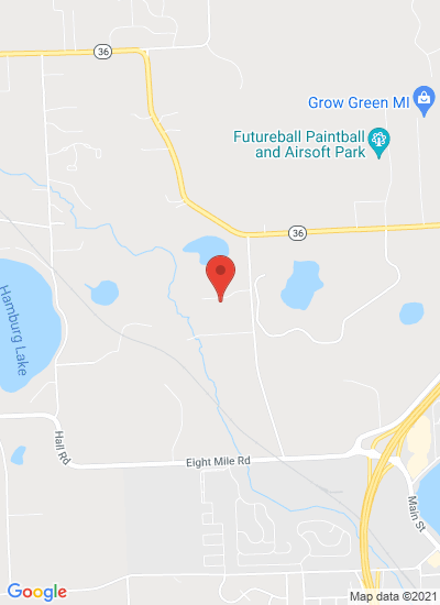 Map showing Whitmore Lake, United States