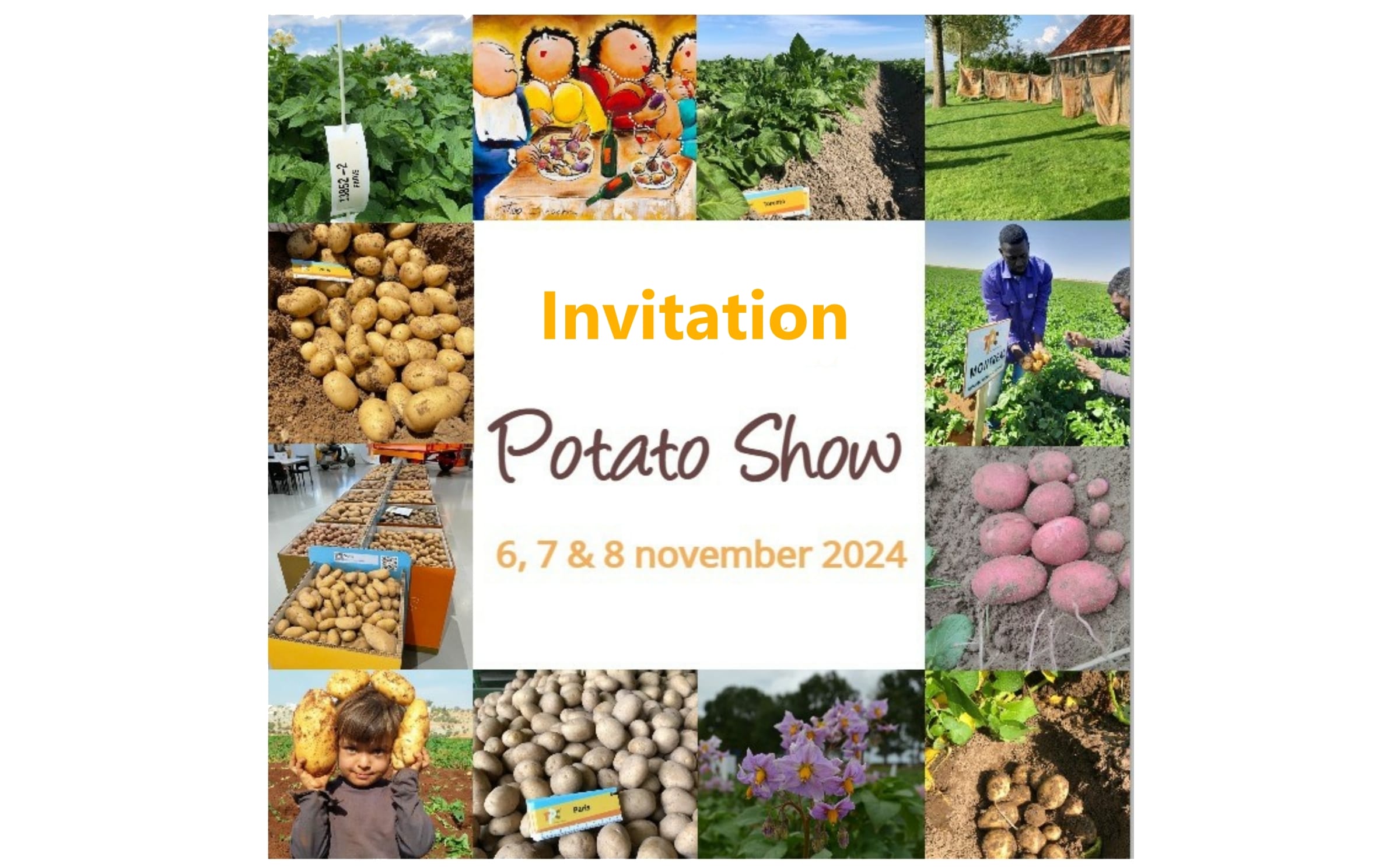 Invitation potato show
